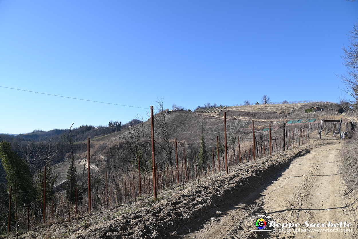 VBS_0843 - Corneliano d'Alba.jpg